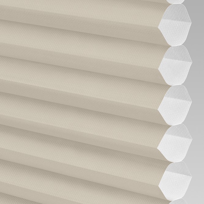 Sun Island Light Filtering in Cashew