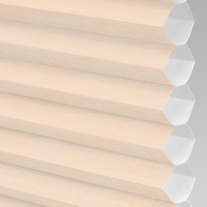 Kennicott Light Filtering in French Vanilla