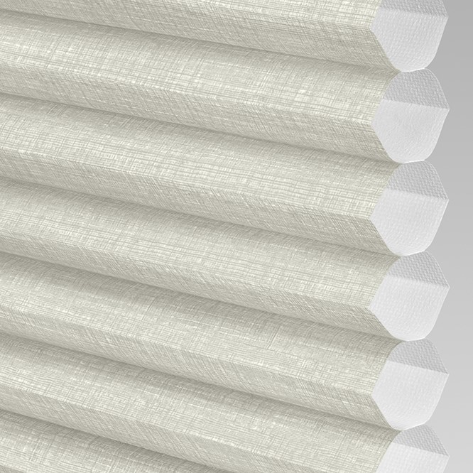 Kennicott Light Filtering in Rosemary
