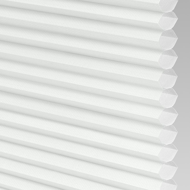 Sun Island Light Filtering in Winter White