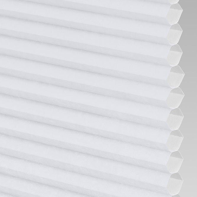 Catalina Light Filtering in China Doll