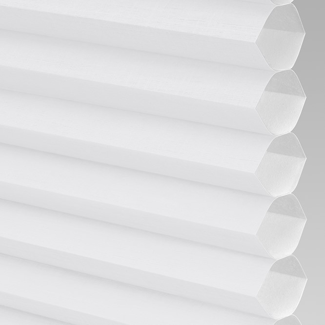 Kennicott Light Filtering in Pure White