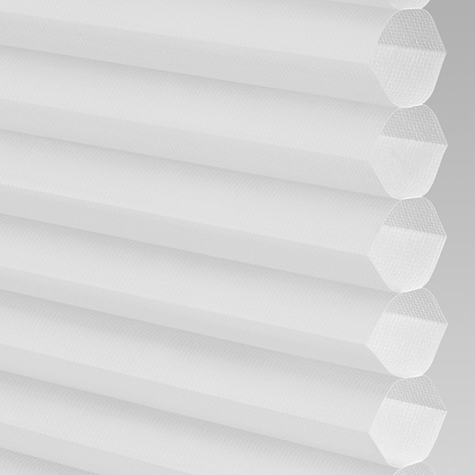 Sun Island Light Filtering in Winter White