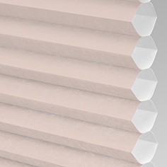 Catalina Light-Filtering in Cafe Au Lait