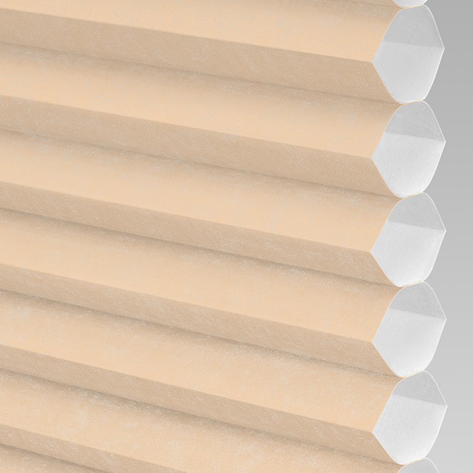 Catalina Light-Filtering in Biscuit